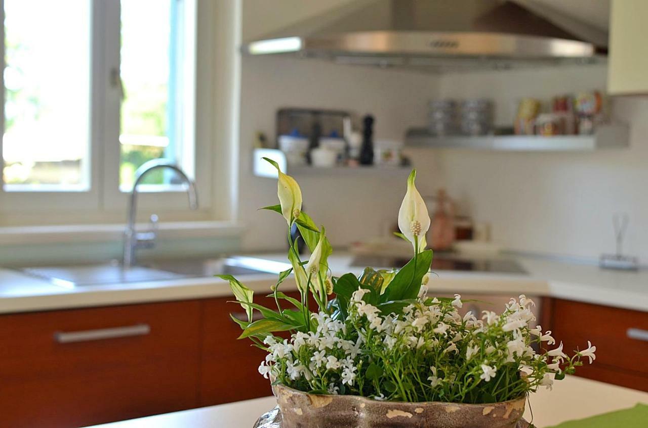 Holiday Home Sverko Novigrad  ภายนอก รูปภาพ